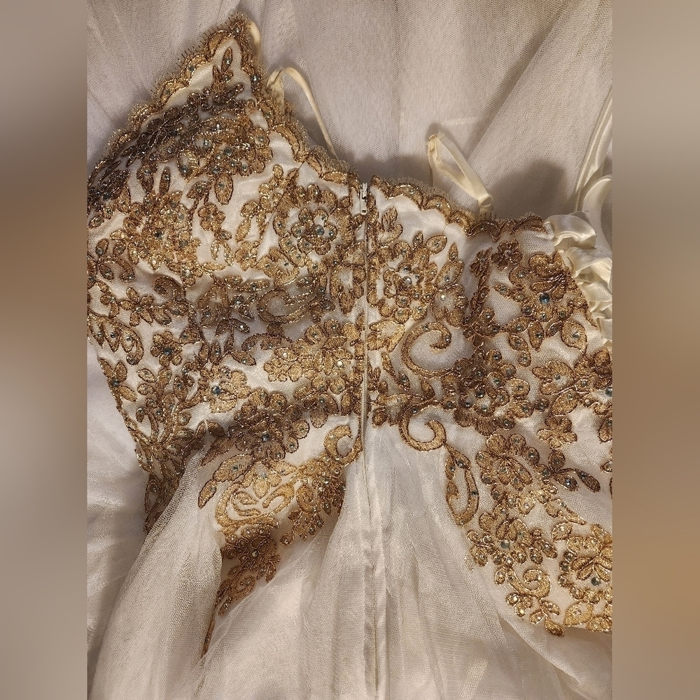 TLC Say Yes To The Prom Dress - Picture 10 of 14